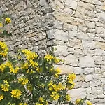 La Chambre Haute, Spa Et Jardin Exterieur A Nimes