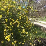 La Chambre Haute, Spa Et Jardin Exterieur A Nimes 4*