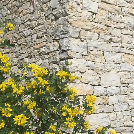 La Haute Et Son Jardin Dans Les Hauteurs De