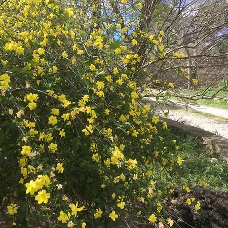 La Haute, Et Jardin Exterieur A 4*