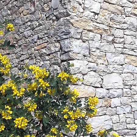 La Haute, Sa Kitchenette, Son Et Son Jardin à Bed & Breakfast Nîmes