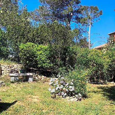 La Haute, Et Jardin Exterieur A Nîmes