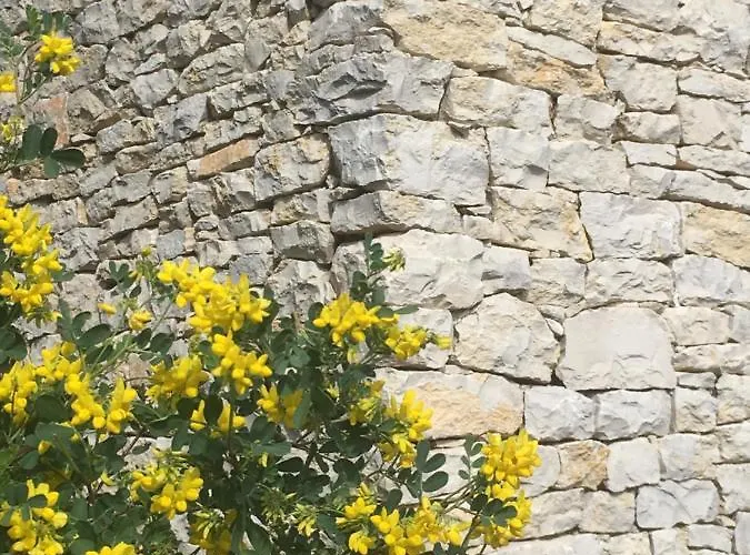 La Haute, Son Et Son Jardin A