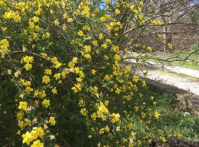 La Haute, Son Et Son Jardin A 4*