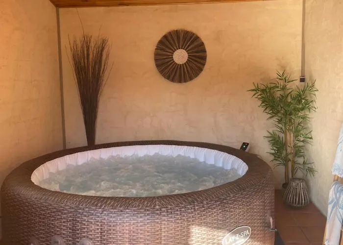 La Haute, Son Et Son Jardin A Nîmes